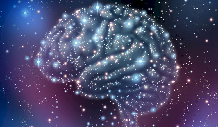 A fost descoperit unul dintre cei mai importanţi receptori din creier care ne asigură sănătatea mentală