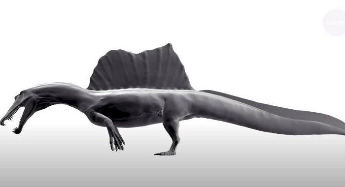 Oamenii de ştiinţă au descoperit prima specie de dinozaur înotător